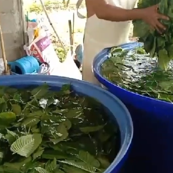 Screenshot 2023-10-19 090726