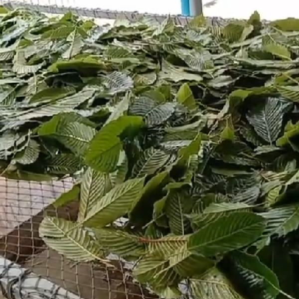 Screenshot 2023-10-19 090750